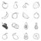 Vector Set of Sketch Fruits Icons.