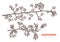 Vector set of sketch hand drawn branches of hawthorn with foliage and berries