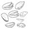 Vector Set of Sketch Pistachios