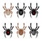 Vector set of spider icons.