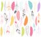 Vector Set of Stylized or Abstract Feathers