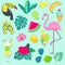 Vector set of summer party icons with tropical birds, fruits, flowers and cocktail