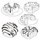 Vector set of sweet donuts. Collection of stylized baking. Black and white drawing. Linear Art. Cakes.