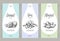 Vector set of templates packaging milk