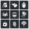 Vector Set of Thailand Icons. Muay Thai, elephant, Buddha, Prostitution, Fast Food, Travel, Shopping, Dragon Fruit