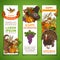 Vector set of Thanksgiving vertical banners.
