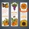 Vector set of Thanksgiving vertical banners.