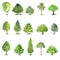 Vector set of trees drawing by watercolor