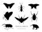 Vector set of tropical insects