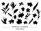 Vector set of tropical leaves and flowers silhouettes