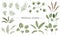 Vector set of tropical plant leaves. Jungle foliage collection.