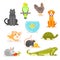 Vector set of various home pets