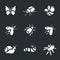 Vector Set of Various Insects Icons.