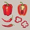 Vector set with vegetables: peppers