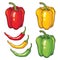 Vector set with vegetables: peppers