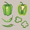 Vector set with vegetables: peppers