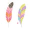 Vector Set of Watercolor Style Feathers