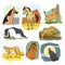 Vector set of wild and home animals. Hand drawn cartoon illustration. Horse, dog, cat, wolf, leopard