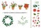 Vector set of winter flowers and design elements in pots