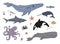 Vector setof sketch sea animals and fish