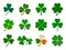 vector shamrock collection