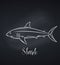 Vector shark chalk icon, blackboard