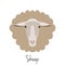 Vector sheep head isolated. Flat, cartoon style object