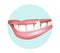Vector shiny white healthy teeth