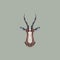 Vector sign abstract head of African Antelope blesbok.