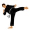 Vector of Silat Martial Arts from Indonesia - Pose 9