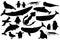 Vector silhouett shape black set of animals in Antarctica. Hand drawn collection of whales, penguins, skua, krill, seals