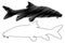 Vector silhouette of Barbel fish