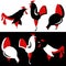 Vector silhouette of chickens