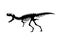 Vector silhouette of dinosaurs skeleton. Hand drawn dino skeleton. Dinosaur bones, exhibit fossils in the museum