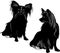 Vector silhouette of the dog breed Papillon Butterfly