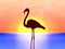 Vector silhouette flamingo on a background sunset