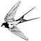 Vector silhouette flying swallow