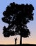 Vector silhouette of lumberjack cutting big tree with an axe.