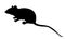 Vector silhouette mouse