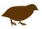 Vector silhouette of the quail