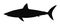 Vector silhouette of shark.