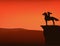 Vector silhouette sunset scene with native american indian woman and horse at cliff top