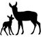 Vector Silhouettes of Deers. Deers Vector Illustration