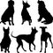 Vector silhouettes of dogs in various poses