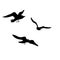 Vector silhouettes of flying seagulls