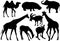 Vector silhouettes of mammals