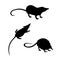Vector silhouettes of a shrew