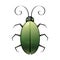 Vector simple cartoon green bug