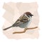 Vector simple illustration of sparrow bird.