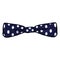 Vector Single Cartoon Bow Tie. Vintage Fashion Accessory